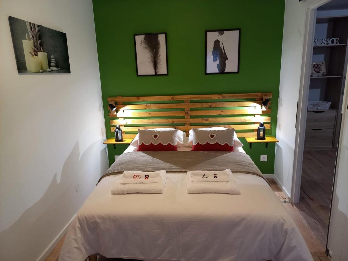 Le Passage Gite Cocooning A Colmar Centre Touristique Екстер'єр фото